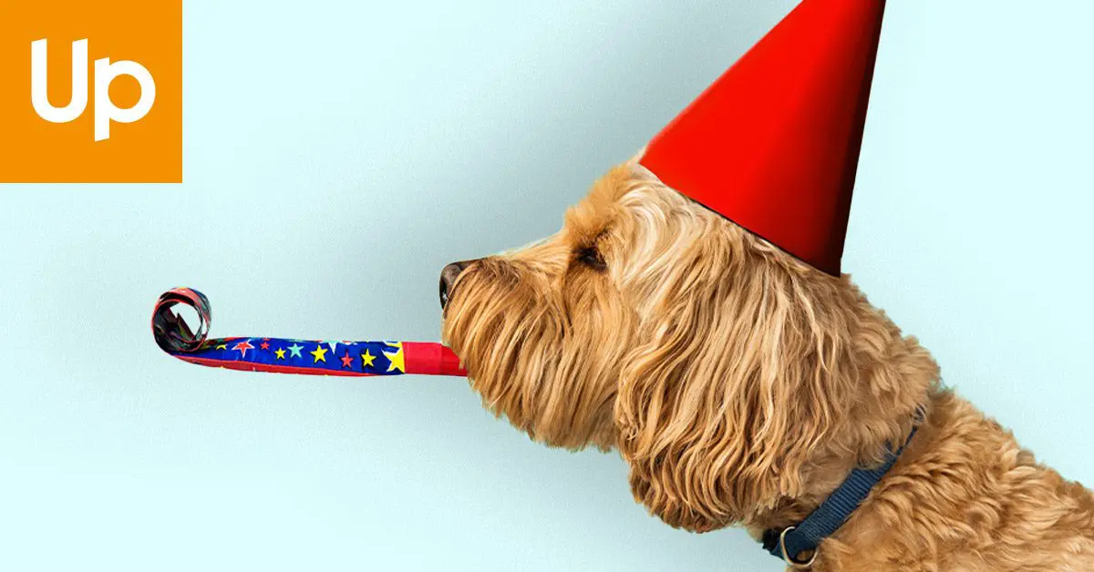 S jídlem roste chuť: eStravenka slaví 7,5 milionu transakcí. Jak se nám to podařilo? 2 S jídlem roste chuť: eStravenka slaví 7,5 milionu transakcí. Jak se nám to podařilo?