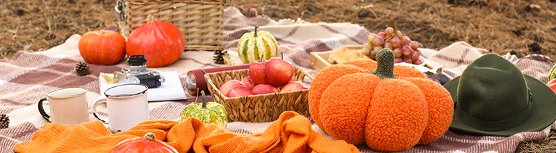 Co ukončit léto stylově, třeba piknikem s eStravenkou? 1 Podzimní piknik a eStravenka