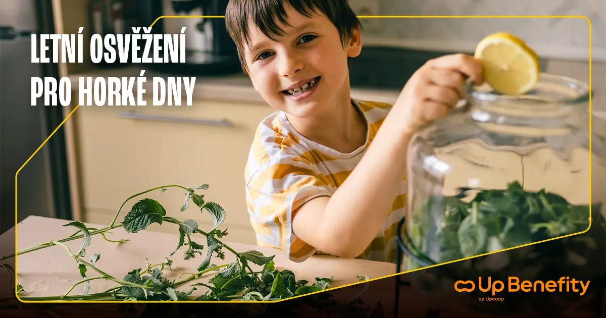 Domácí limonády pro horké letní dny 17 Domácí limonády pro horké letní dny